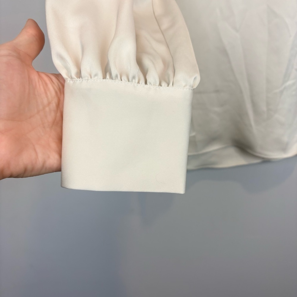 Aritzia Babaton Blouse in matte pearl satin - Picture 5 of 12